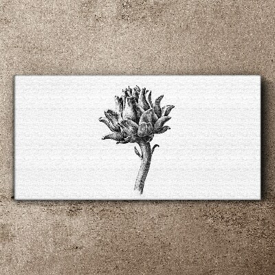 Drawing flowers Canvas Wall art