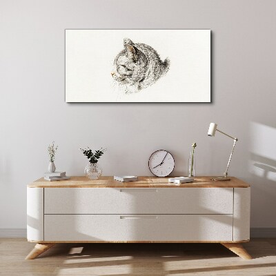 Portrait of a gray cat on a white background Print on canvas
