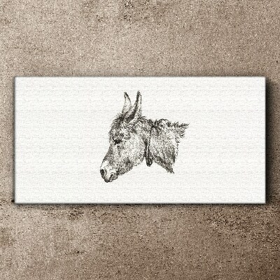 Portrait of a donkey in a monochrome style Canvas wall art