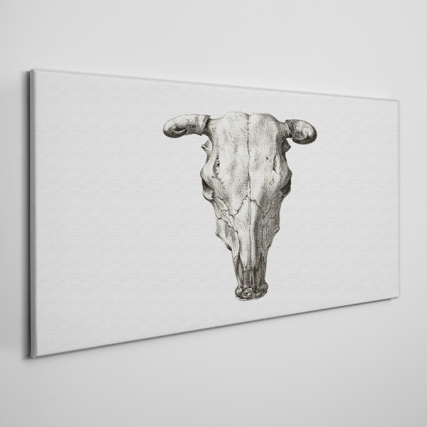 Skull on a white background Canvas wall art