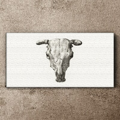 Skull on a white background Canvas wall art