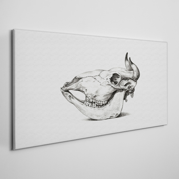 Animal skull Print on canvas