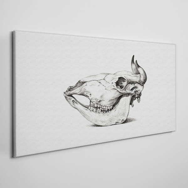 Figure cow skull Canvas Wall art