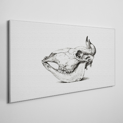 Animal skull Print on canvas