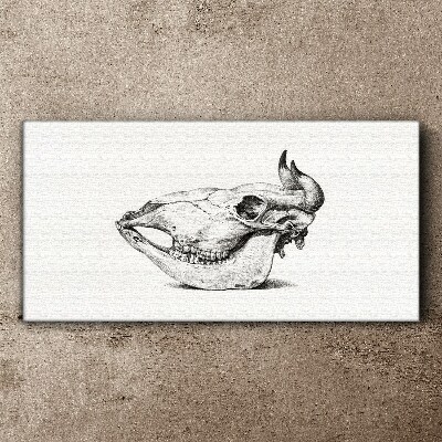 Animal skull Print on canvas