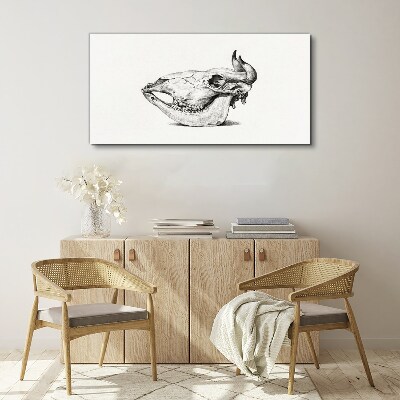 Animal skull Print on canvas