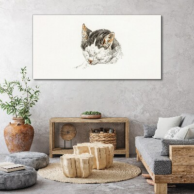 Cat's dream Canvas wall art