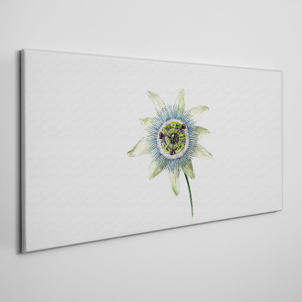 Passion flower on white background Print on canvas