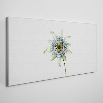 Passion flower on white background Print on canvas
