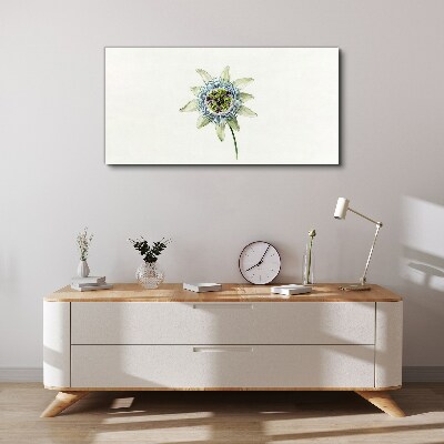 Passion flower on white background Print on canvas
