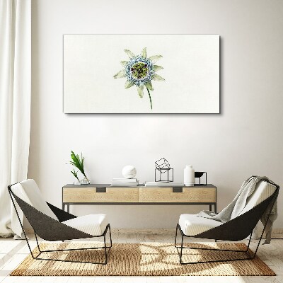 Passion flower on white background Print on canvas