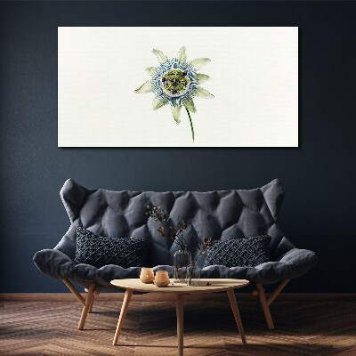 Passion flower on white background Print on canvas