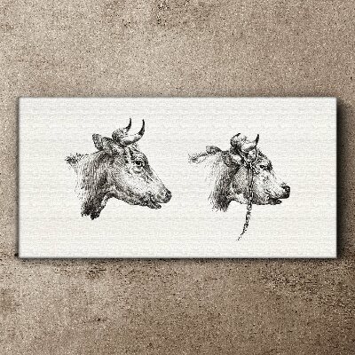 Drawing animals cows Canvas Wall art