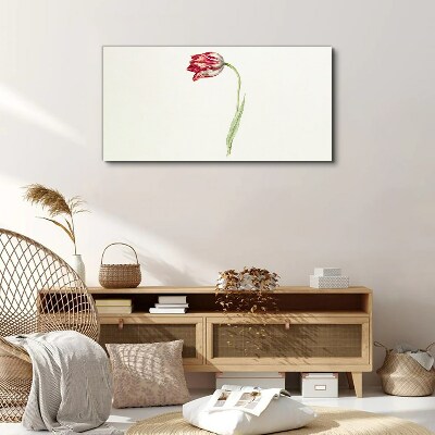 Tulip in delicate shades Print on canvas