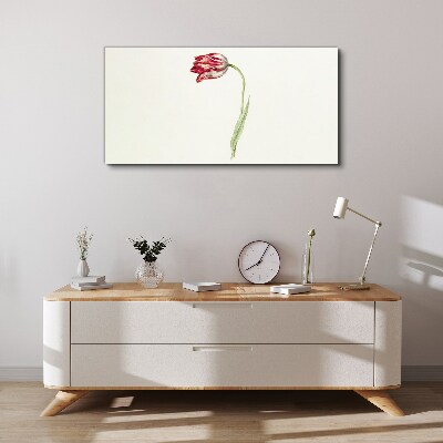Tulip in delicate shades Print on canvas