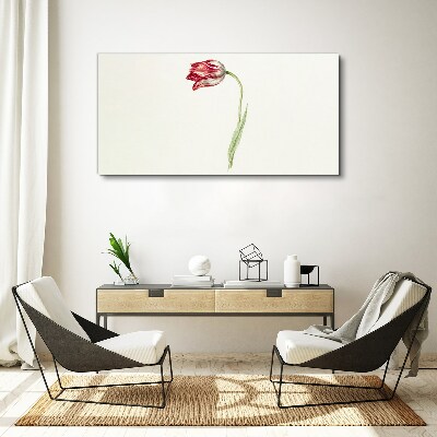 Tulip in delicate shades Print on canvas