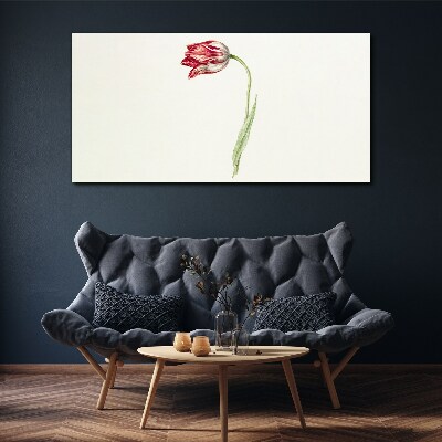 Tulip in delicate shades Print on canvas