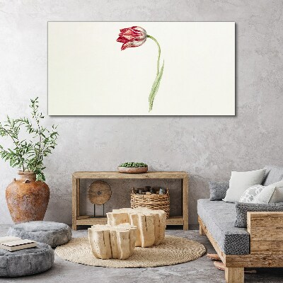Tulip in delicate shades Print on canvas