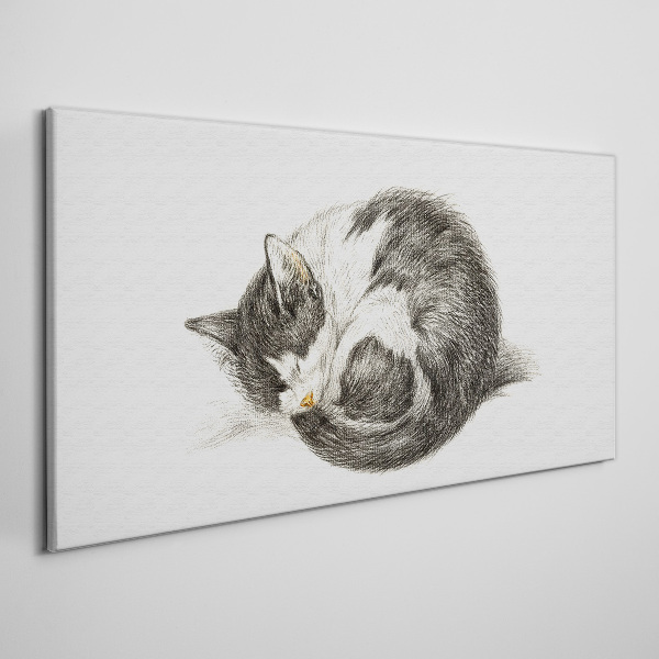 Cat's dream in monochromatic shades Print on canvas