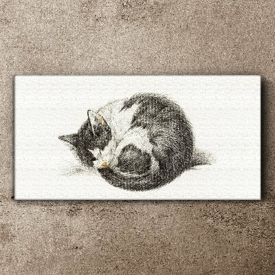 Cat's dream in monochromatic shades Print on canvas