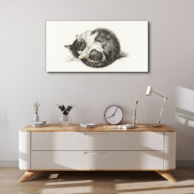 Cat's dream in monochromatic shades Print on canvas