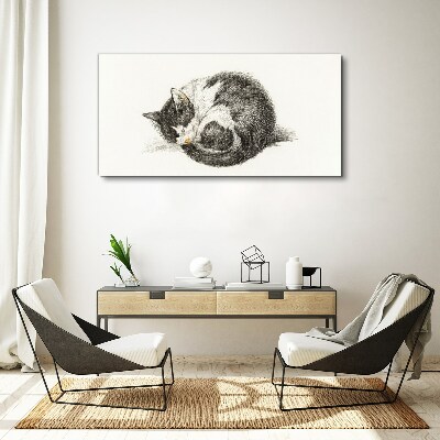 Cat's dream in monochromatic shades Print on canvas