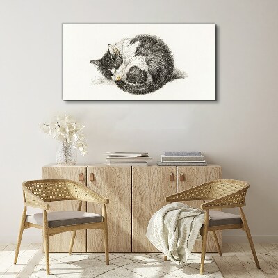 Cat's dream in monochromatic shades Print on canvas