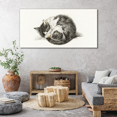 Cat's dream in monochromatic shades Print on canvas