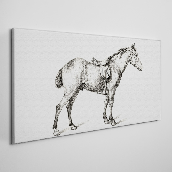 Drawing of a horse in the saddle Canvas wall art