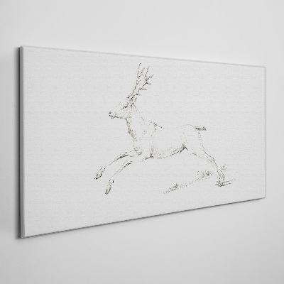 Drawing animal deer Canvas Wall art