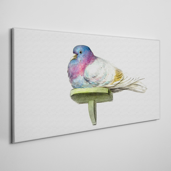 Colorful dove in pastel shades Print on canvas