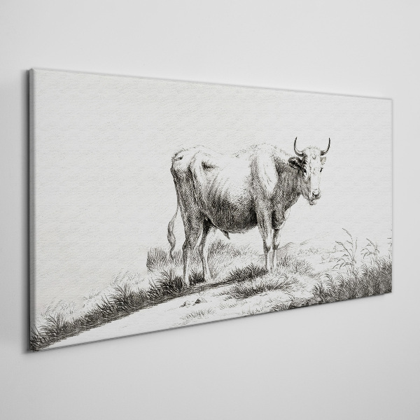 Black cow in the pasture Canvas wall art