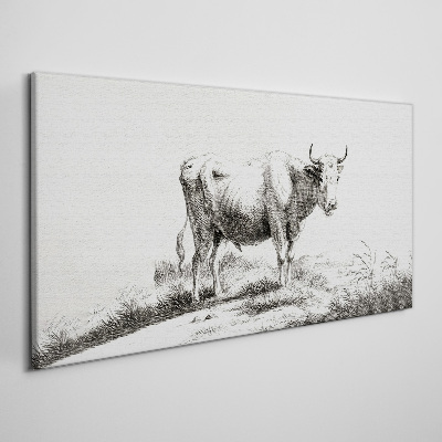 Black cow in the pasture Canvas wall art