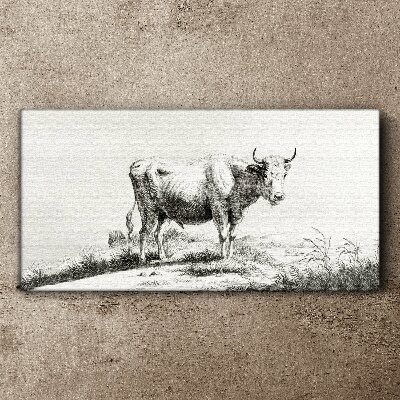 Black cow in the pasture Canvas wall art
