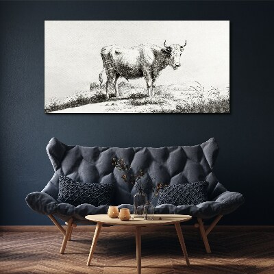 Black cow in the pasture Canvas wall art
