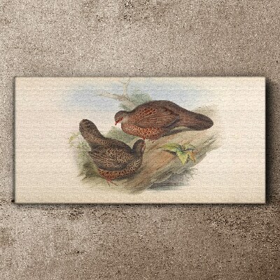 Animals birds beige Canvas print