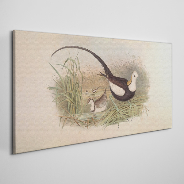 Birds in the grass Print on canvas