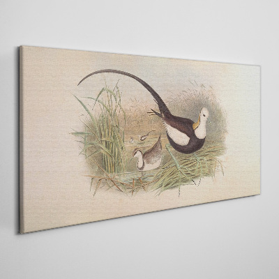 Birds in the grass Print on canvas