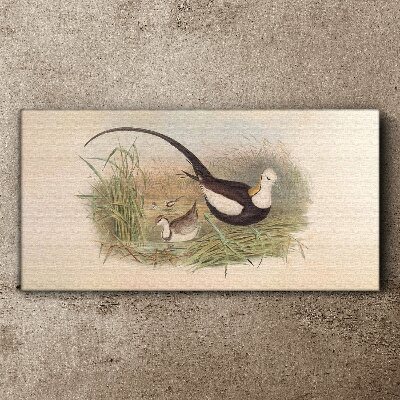 Birds in the grass Print on canvas