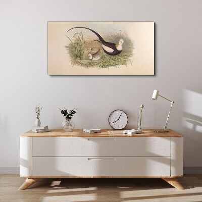 Birds animals figure Canvas print