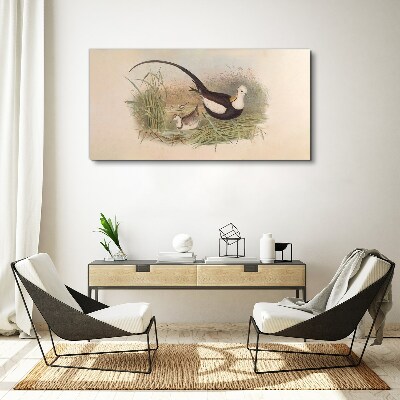 Birds in the grass Print on canvas
