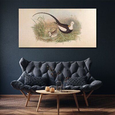 Birds animals figure Canvas print