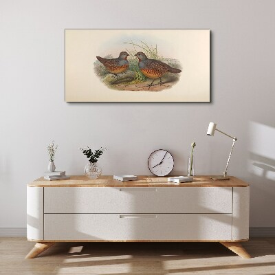 Birds animals figure Canvas print