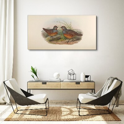 Birds animals figure Canvas print