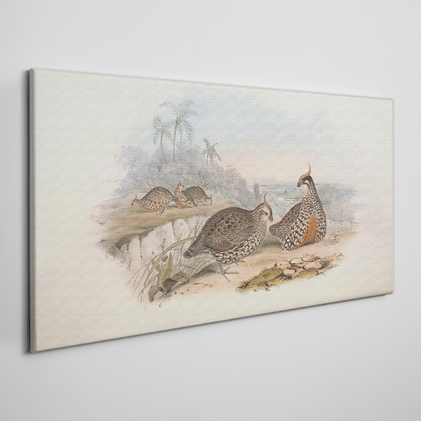 Birds animals figure Canvas print