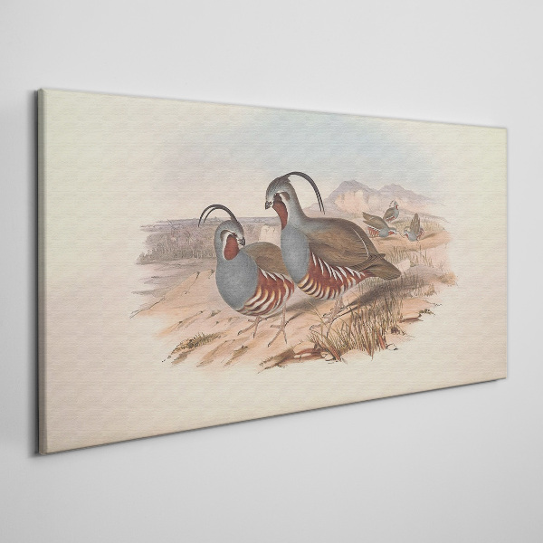 Birds animals Canvas print