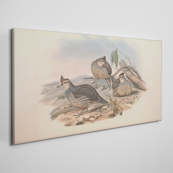 Peaceful bird life on the beach Print on canvas