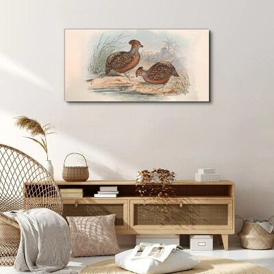 Birds animals Canvas print