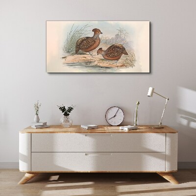 Birds animals Canvas print