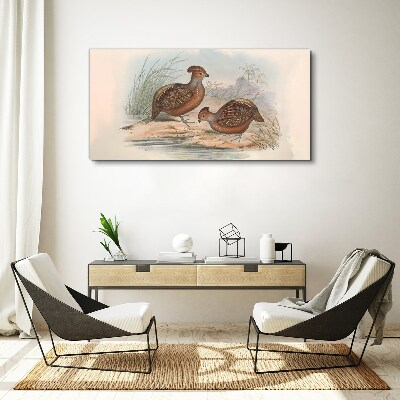 Birds animals Canvas print